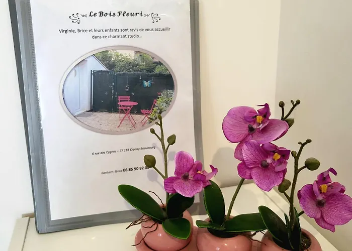 Maison Studio Le Bois Fleuri